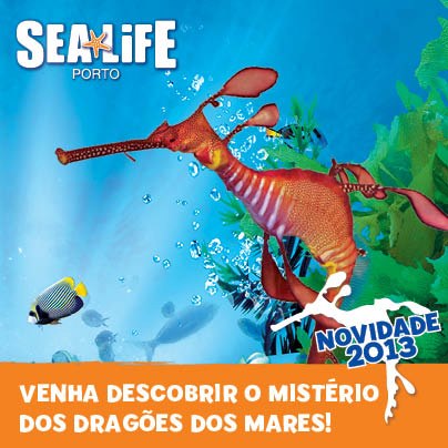 SEA LIFE Porto  Cavalos-Marinhos