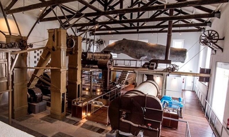 150 anos de Cia Têxtil Brasil Industrial: Passado, Presente e Futuro